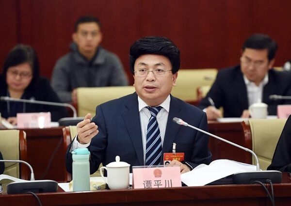 全国人大代表、重庆机场集团党委书记、董事长谭平川建议，推进个人信息保护立法，降低刑事责任年龄。