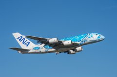 全日空航空A380/A320机队获混合机队飞行许可