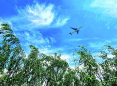 东航：以绿色飞行绘就可持续发展新蓝图